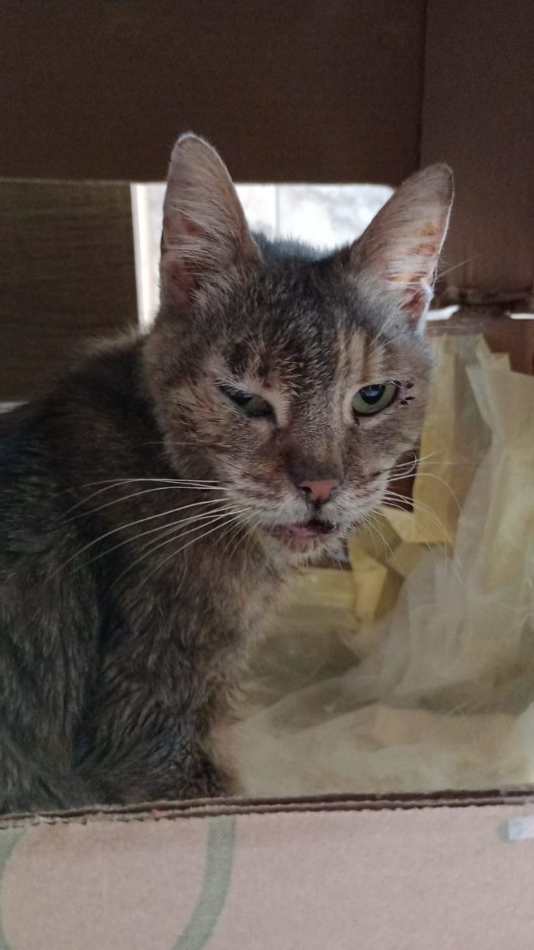 WhatsApp Image 2026-04-18 at 21.13.04.jpeg